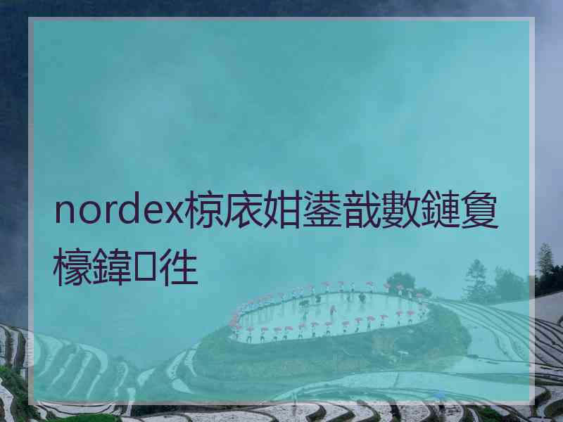 nordex椋庡姏鍙戠數鏈夐檺鍏徃