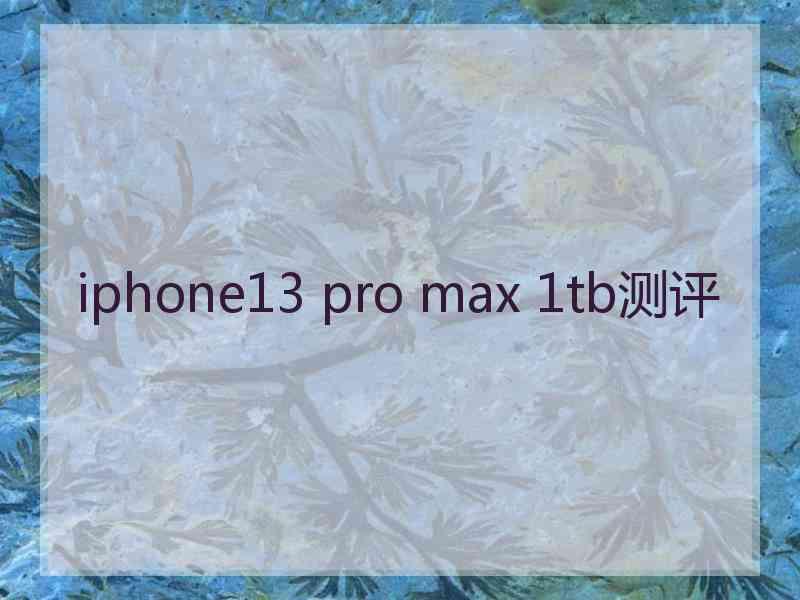 iphone13 pro max 1tb测评