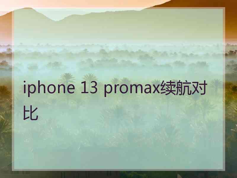 iphone 13 promax续航对比