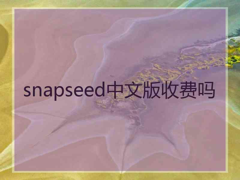 snapseed中文版收费吗