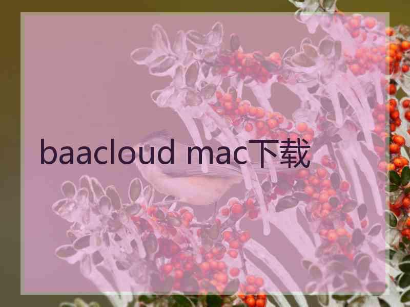 baacloud mac下载