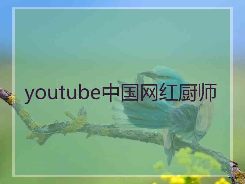 youtube中国网红厨师