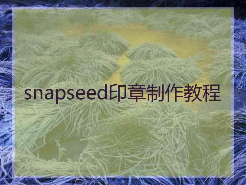 snapseed印章制作教程