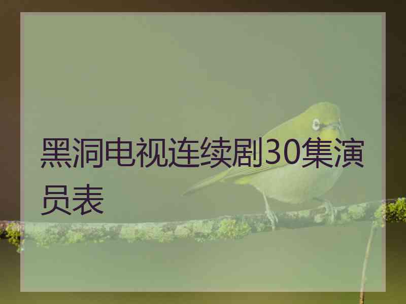 黑洞电视连续剧30集演员表