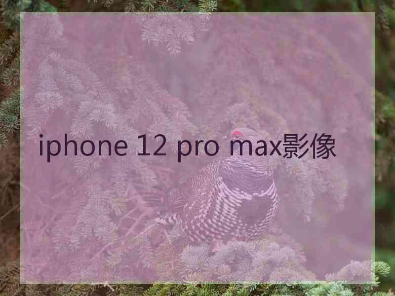 iphone 12 pro max影像