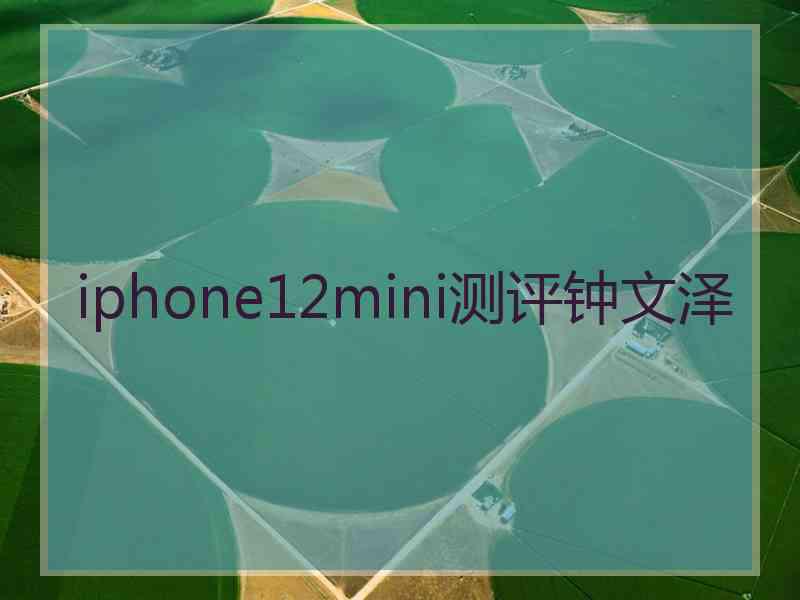 iphone12mini测评钟文泽