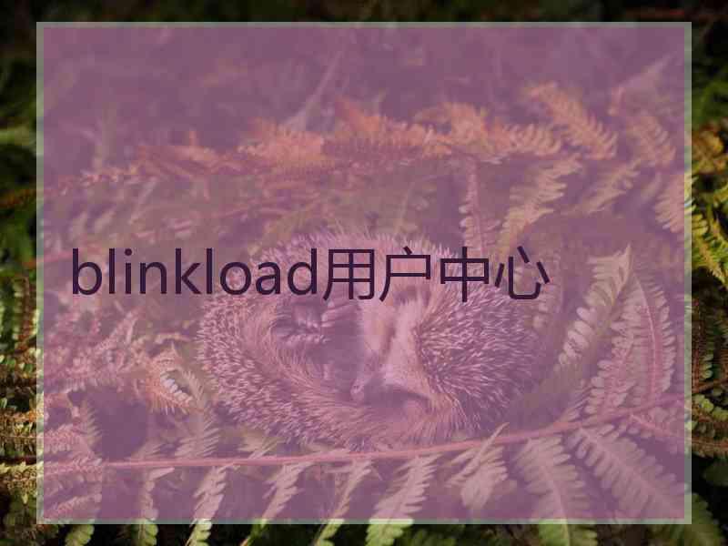 blinkload用户中心