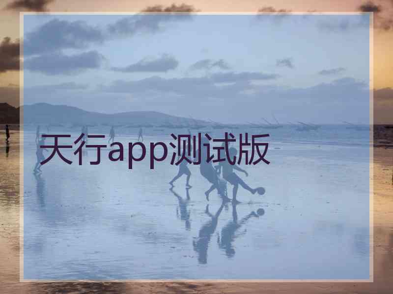 天行app测试版