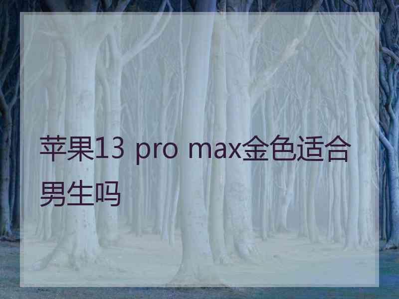 苹果13 pro max金色适合男生吗