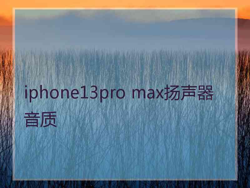 iphone13pro max扬声器音质