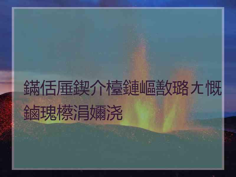 鏋佸厜鍥介檯鏈嶇敾璐ㄤ慨鏀瑰櫒涓嬭浇