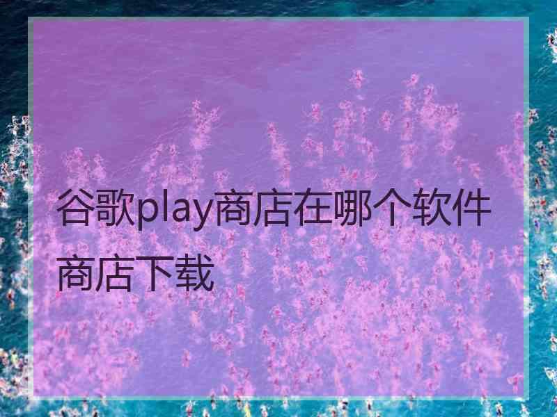 谷歌play商店在哪个软件商店下载