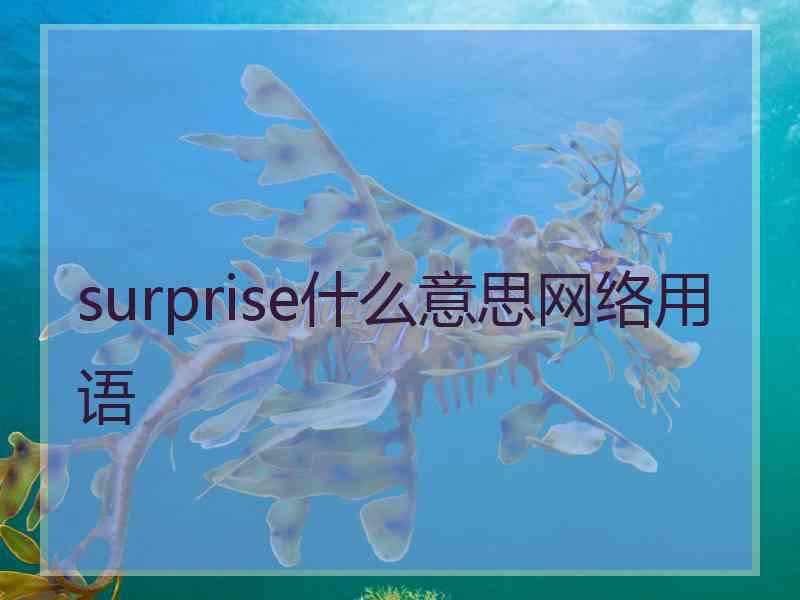 surprise什么意思网络用语