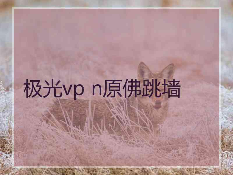 极光vp n原佛跳墙