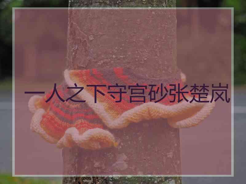 一人之下守宫砂张楚岚