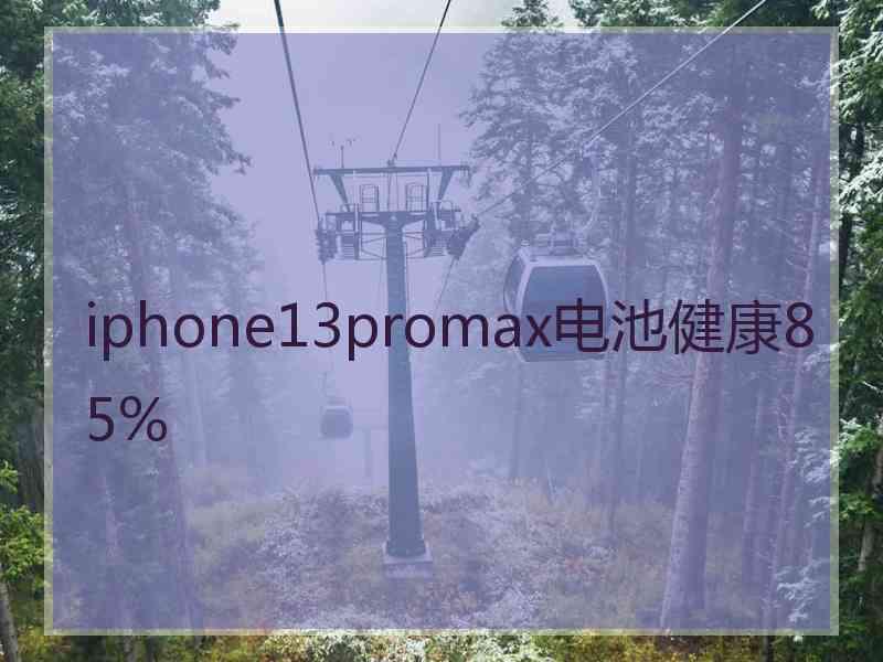 iphone13promax电池健康85%