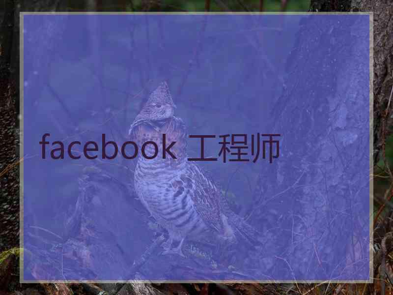 facebook 工程师