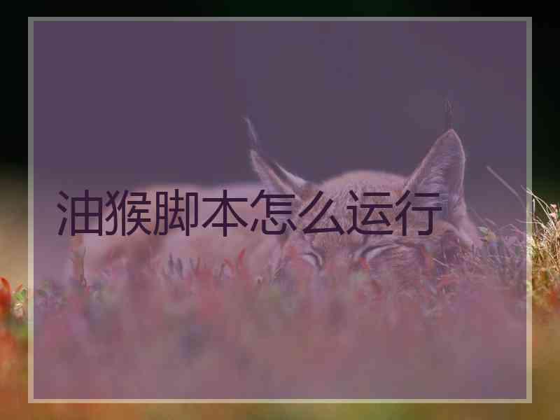 油猴脚本怎么运行