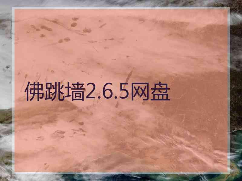 佛跳墙2.6.5网盘