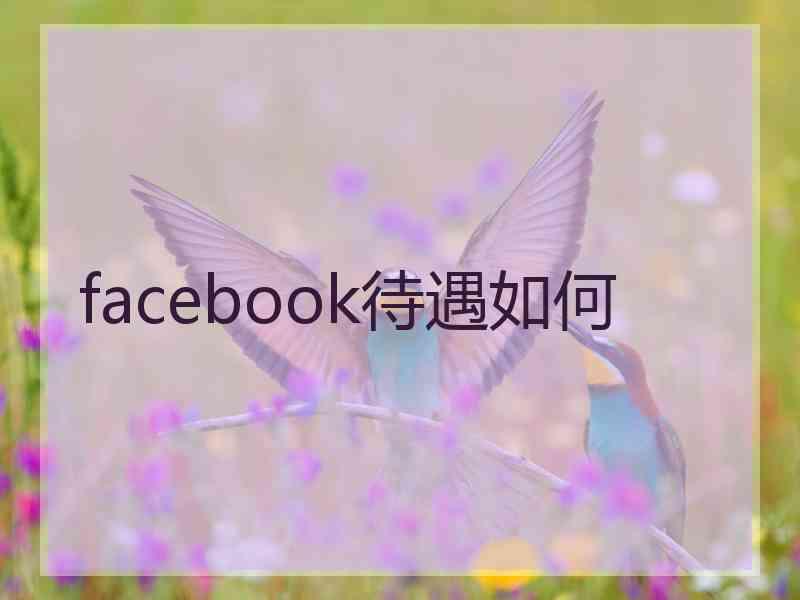 facebook待遇如何