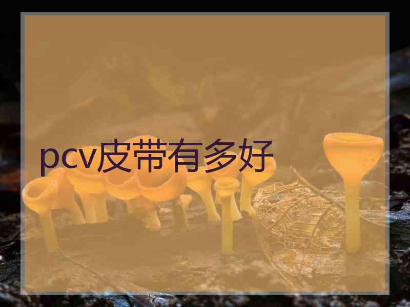 pcv皮带有多好
