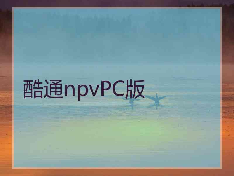 酷通npvPC版