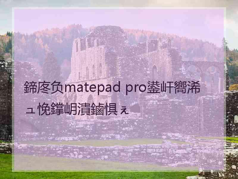 鍗庝负matepad pro鍙屽嚮浠ュ悗鐣岄潰鏀惧ぇ