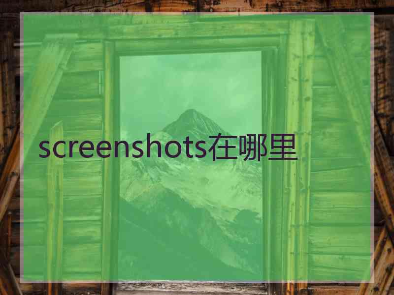 screenshots在哪里