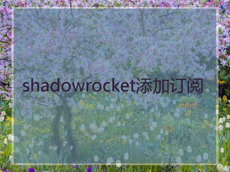 shadowrocket添加订阅