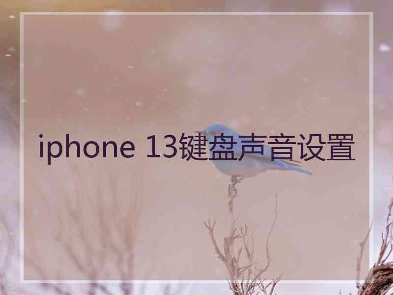 iphone 13键盘声音设置