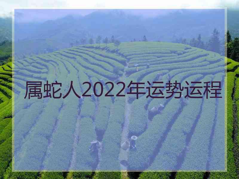 属蛇人2022年运势运程