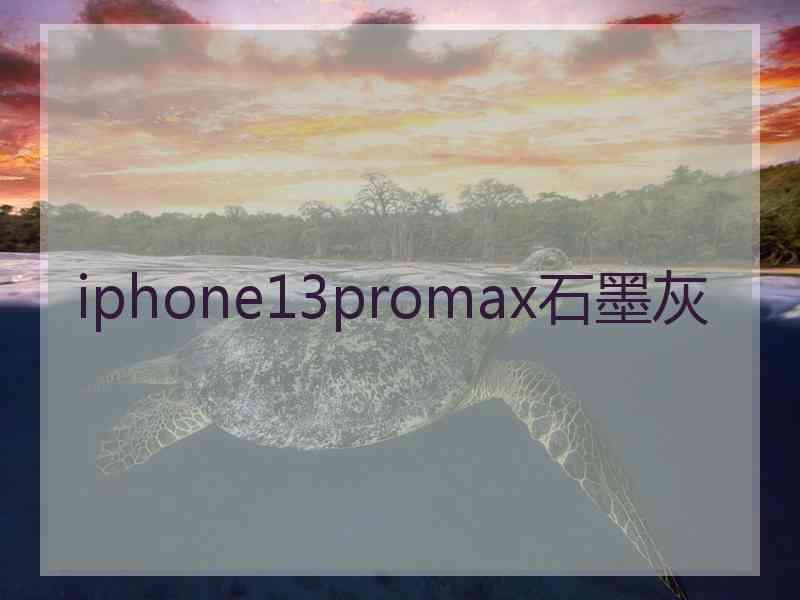 iphone13promax石墨灰