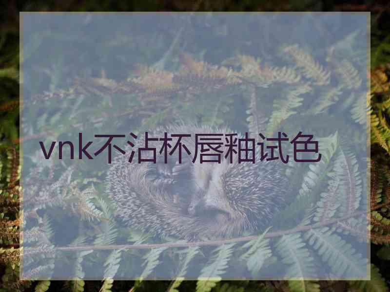 vnk不沾杯唇釉试色