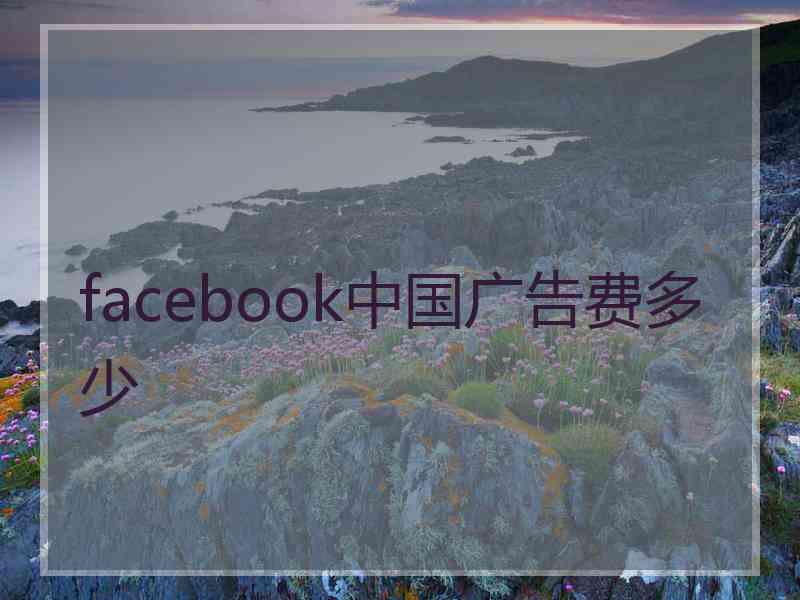 facebook中国广告费多少