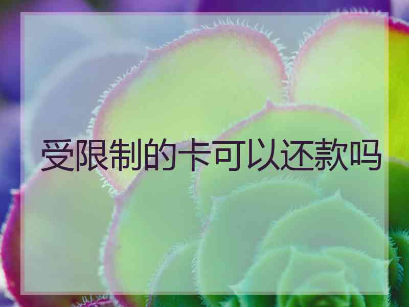 受限制的卡可以还款吗