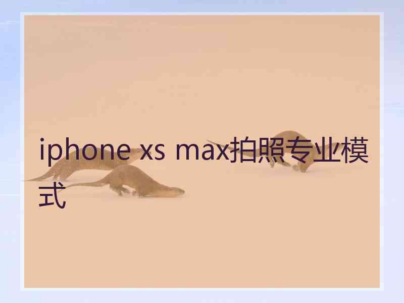 iphone xs max拍照专业模式