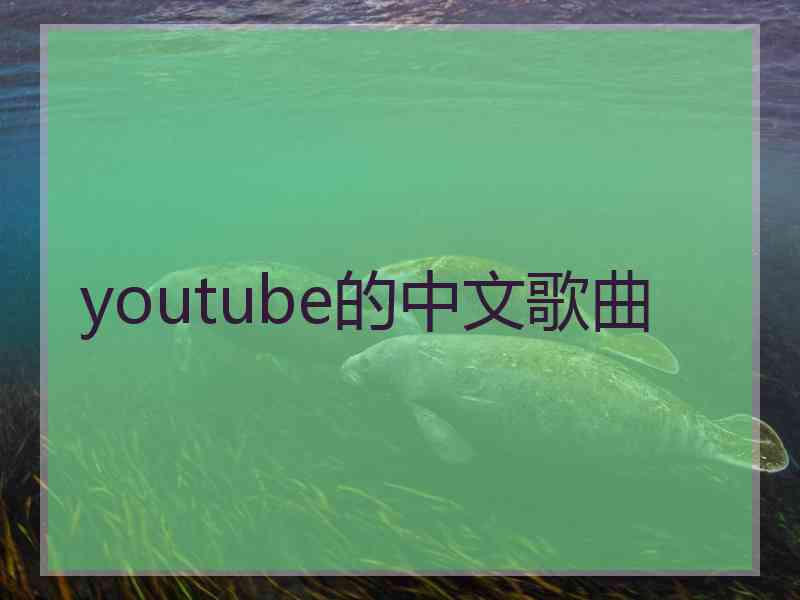 youtube的中文歌曲