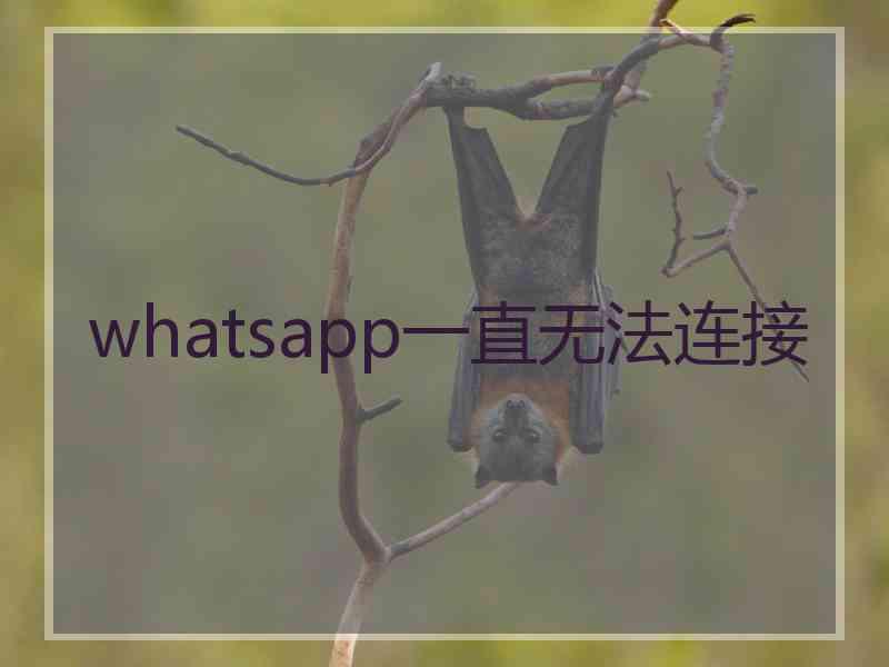 whatsapp一直无法连接