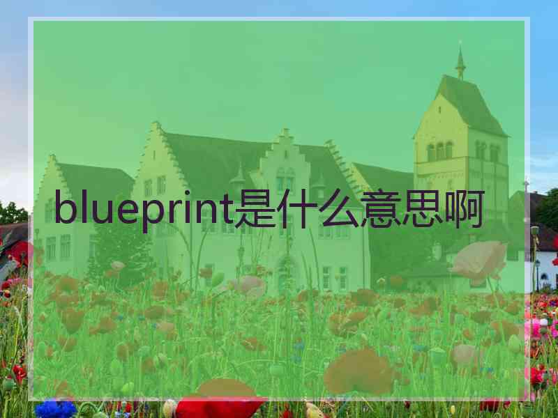 blueprint是什么意思啊