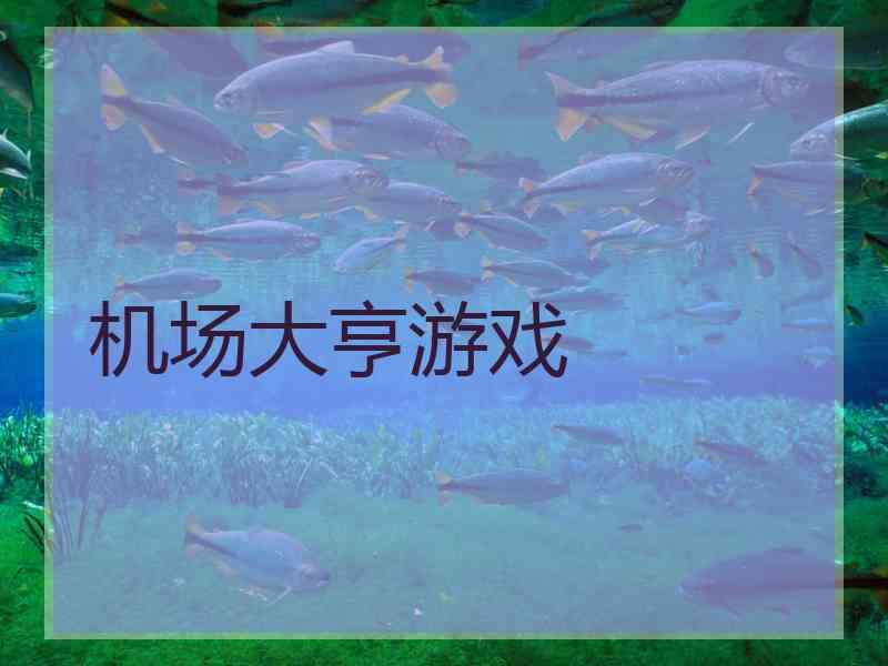 机场大亨游戏