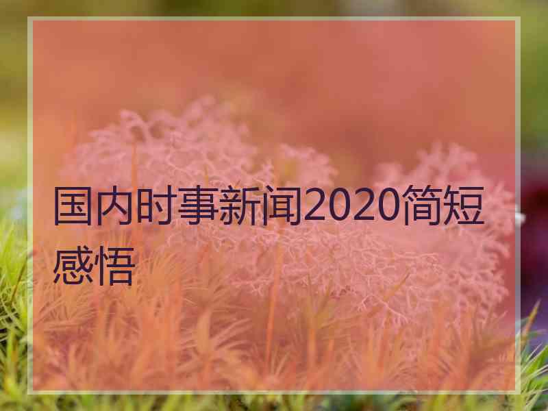 国内时事新闻2020简短感悟