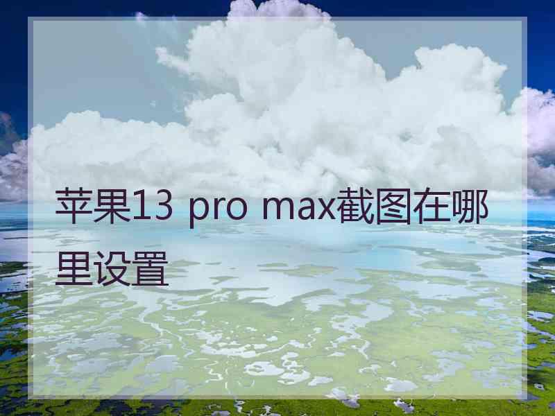 苹果13 pro max截图在哪里设置