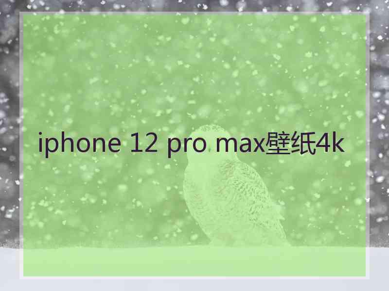 iphone 12 pro max壁纸4k