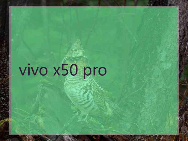 vivo x50 pro