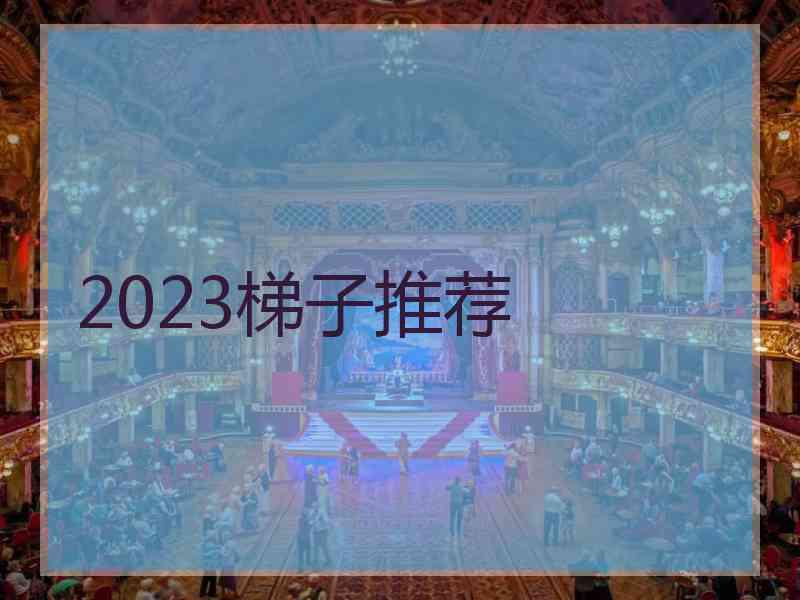 2023梯子推荐