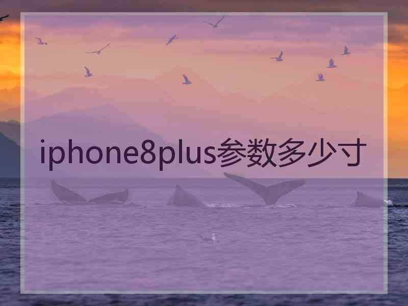 iphone8plus参数多少寸