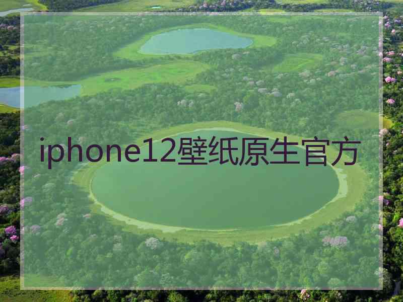 iphone12壁纸原生官方