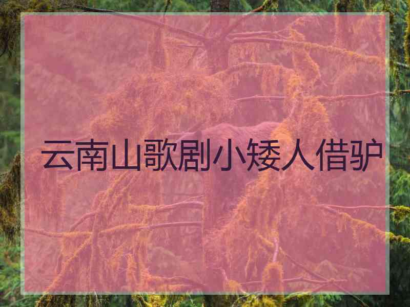 云南山歌剧小矮人借驴