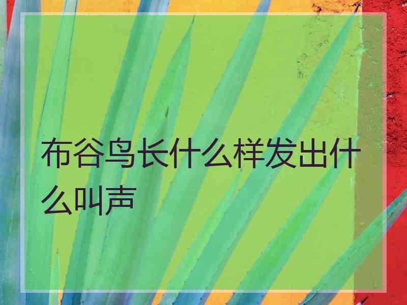 布谷鸟长什么样发出什么叫声