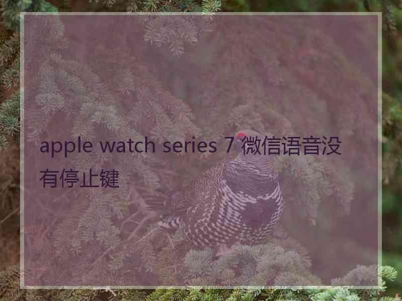 apple watch series 7 微信语音没有停止键